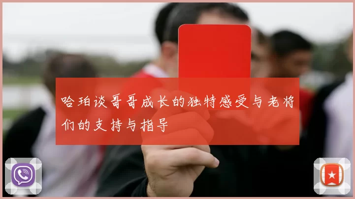 哈珀谈哥哥成长的独特感受与老将们的支持与指导