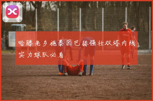 哈滕老乡施泰因巴赫强壮双塔内线实力球队必看