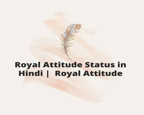 Royal Attitude Status in Hindi