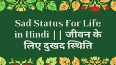 Photo of Sad Status For Life in Hindi || जीवन के लिए दुखद स्थिति