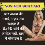 Non Veg Shayari