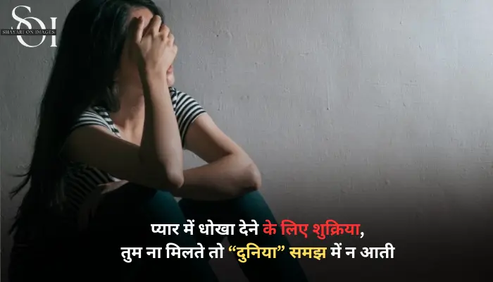 fake love shayari in hindi
